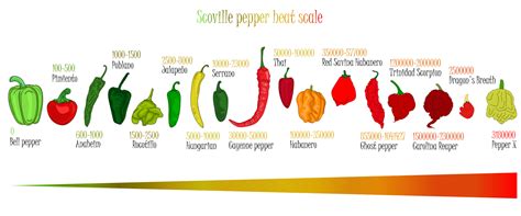 The Heat Index Understanding The Scoville Scale Small Axe Peppers