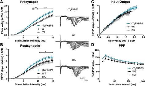 Fkbp51 Overexpression Alters Basal Ampa Receptor Signaling Following