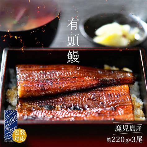 うなぎ 蒲焼き 鰻 有頭 高級 国産 鹿児島県産 無投薬 約220g×3尾 化粧箱入 送料無料 ギフト プレゼント 誕生日 冬ギフト 誕生日