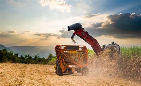 Exportações do agronegócio brasileiro atingem US 15 20 bi em junho e