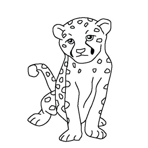 Cheetah Running Coloring Pages at GetDrawings | Free download