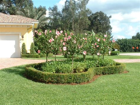 Backyard Pool Landscaping Ideas Florida - Home Decor Ideas