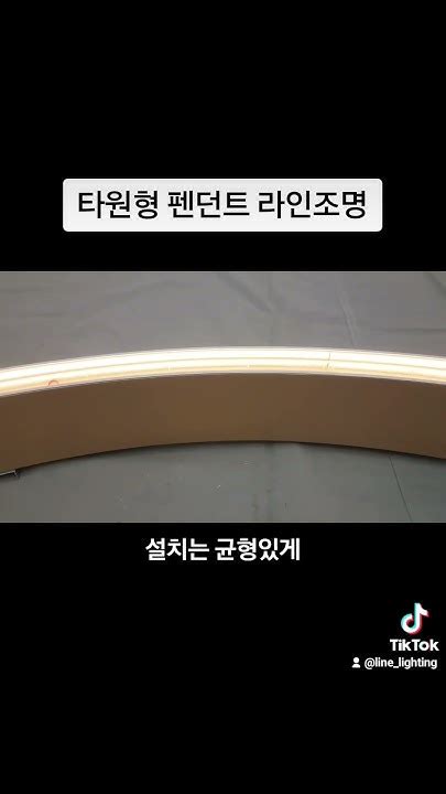 라인라이팅 안소장문의 010 3434 2020 대형타원형펜던트라인조명 인테리어조명 자유곡선 라인조명 라인라이팅