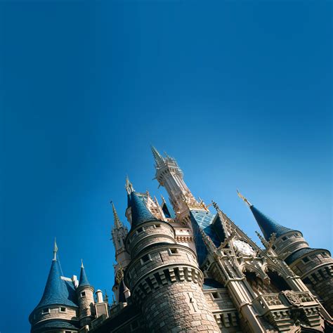 Cinderella Castle Wallpaper