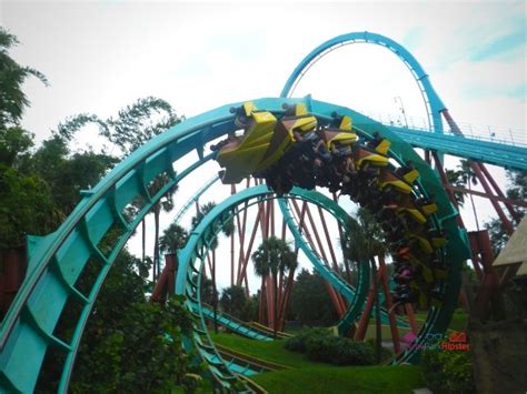 Ultimate Guide to Kumba Roller Coaster at Busch Gardens Tampa: From ...