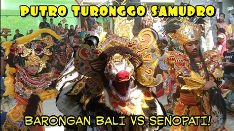 Performa Keren Barongan Bali Putro Turonggo Samudro Vs Senopati