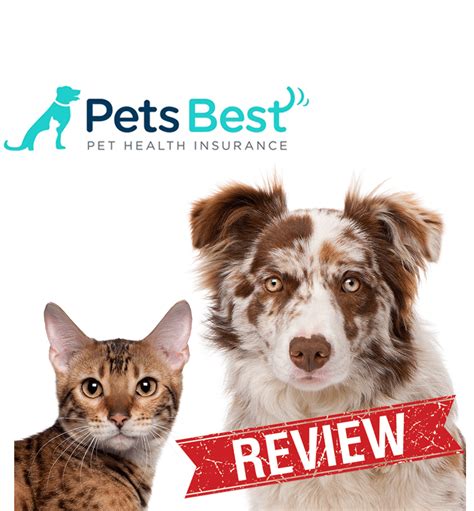 Pet Insurance Reviews | Best & Worst of 2016