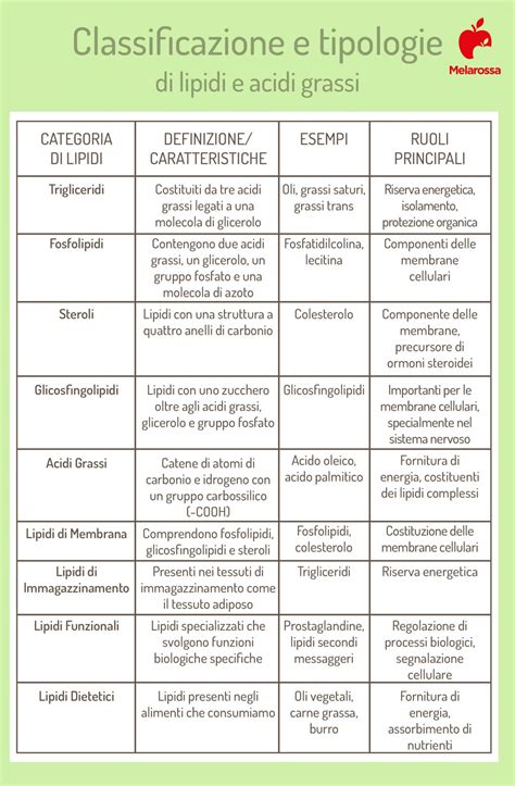 Lipidi O Grassi Cosa Sono A Cosa Servono E Dove Si Trovano