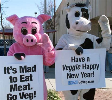 15 Most Memorable Peta Mascots Peta