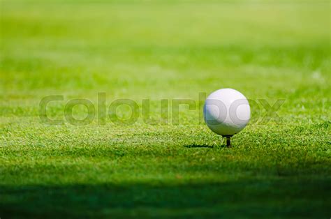 Golf Ball On Grass Stock Image Colourbox