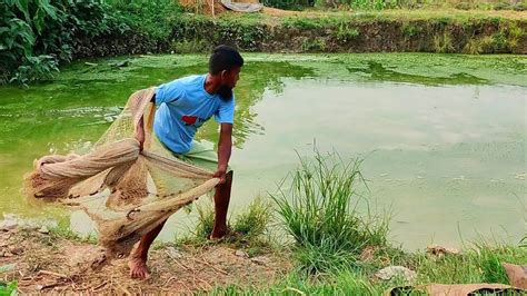 Cast net fishing - Traditional cast net fishing in village with ...