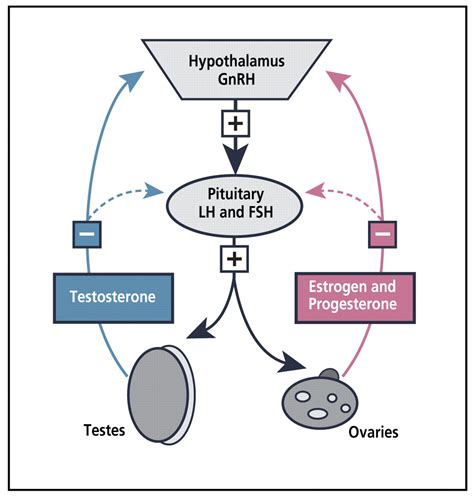 Opioid Induced Endocrinopathy