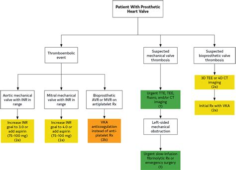 2020 Acc Aha Guideline For The Management Of Patients With Valvular