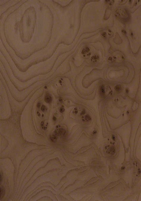 Elm Burl Veneered Standard Grade Mdf Peter Benson Plywood Ltd