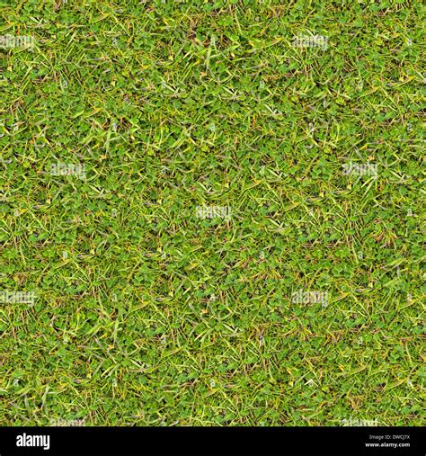 Clean Seamless Tileable Grass Texture Banque De Photographies Et D