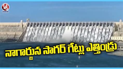 Nagarjuna Sagar Dam Gates Lifted Due To Huge Inflow V6 News YouTube