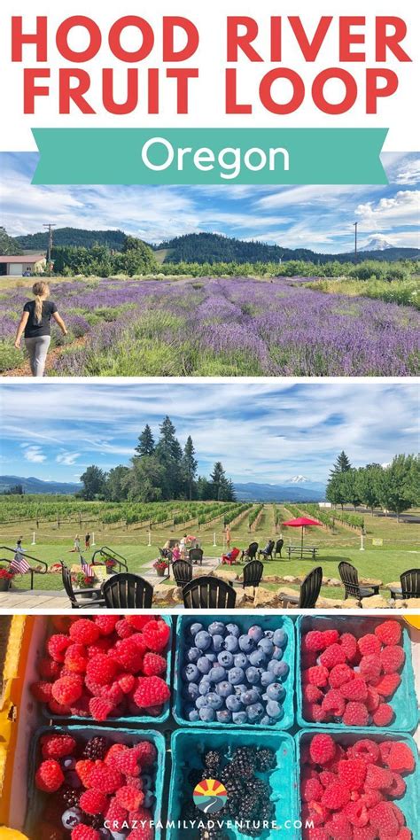 10 Amazing Stops On The Hood River Fruit Loop Map Included Artofit