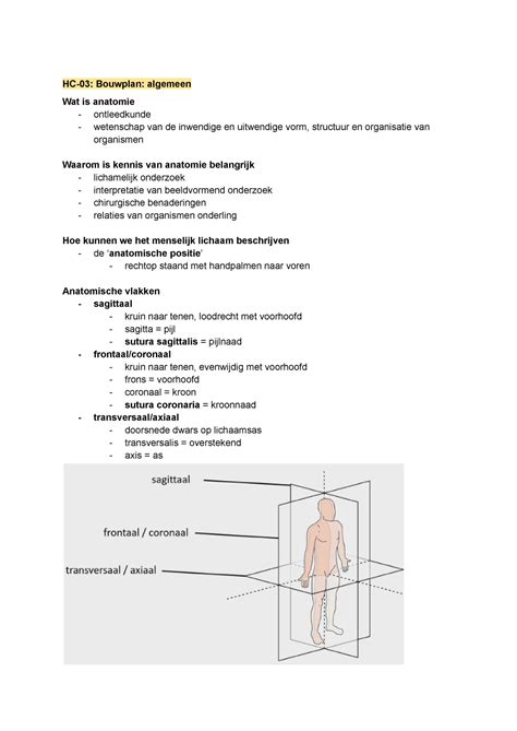 Hc Bouwplan Algemeen Hc Bouwplan Algemeen Wat Is Anatomie