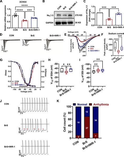 Inhibition Of Wnt Catenin Rescues Na Channel Defects And Arrhythmic