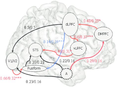 Path Diagrams From The Causal Analysis Using Structural Equation