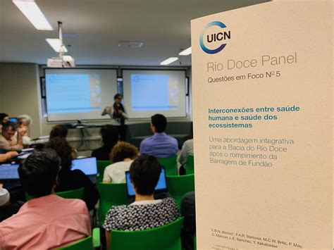 Img Launch Of Issue Paper Painel Rio Doce Flickr