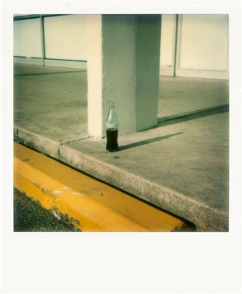 eggleston shredding 6