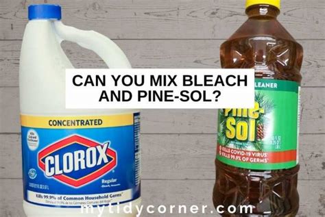 Can You Mix Bleach And Pine Sol