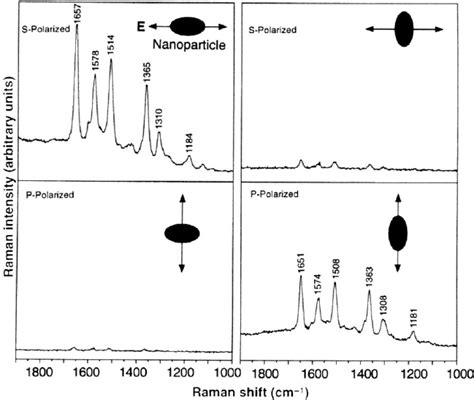 Surface Enhanced Raman Spectra Of R6g Obtained With A Linearly