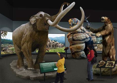 PHOTOS: Mummified mammoth Lyuba, now in London, part of Chicago Field ...