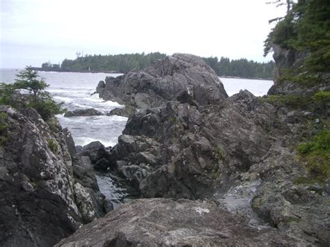 Hot Springs Cove Tofino All You Need To Know Before You Go