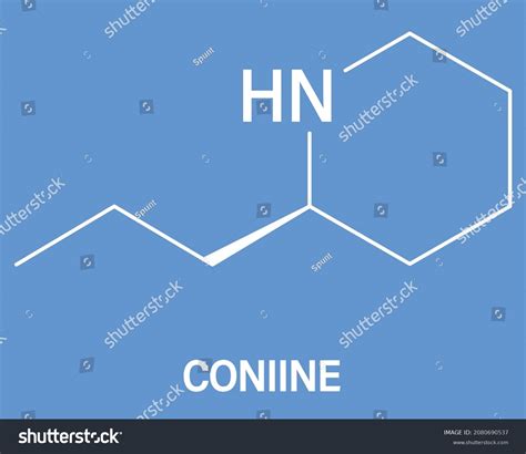 Coniine Herbal Toxin Molecule Present Poison Stock Vector Royalty Free