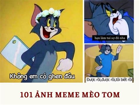 Top 101 ảnh meme mèo Tom hài hước, cute tải xuống miễn phí