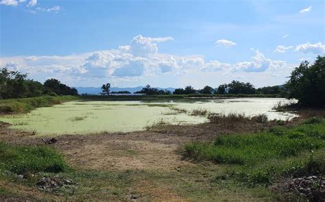 Morelos Bajo nivel de presas pone en riesgo el ciclo agrícola de