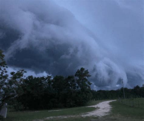 Hurricane Idalia Farm Damage - farmandwrench.com