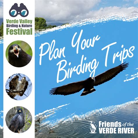 Verde Valley Birding And Nature Festival 2024 Friends Of The Verde River