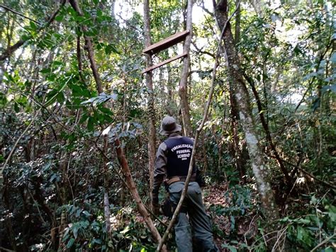 ICMBio reforça combate à caça ilegal na Reserva das Perobas Instituto