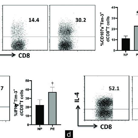 Decidual Tim-3 + CD8 + T cells showed decreased numbers and disordered... | Download Scientific ...