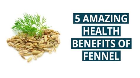 5 Amazing Health Benefits Of Fennel