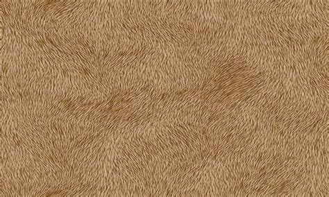 Seamless Fur Texture