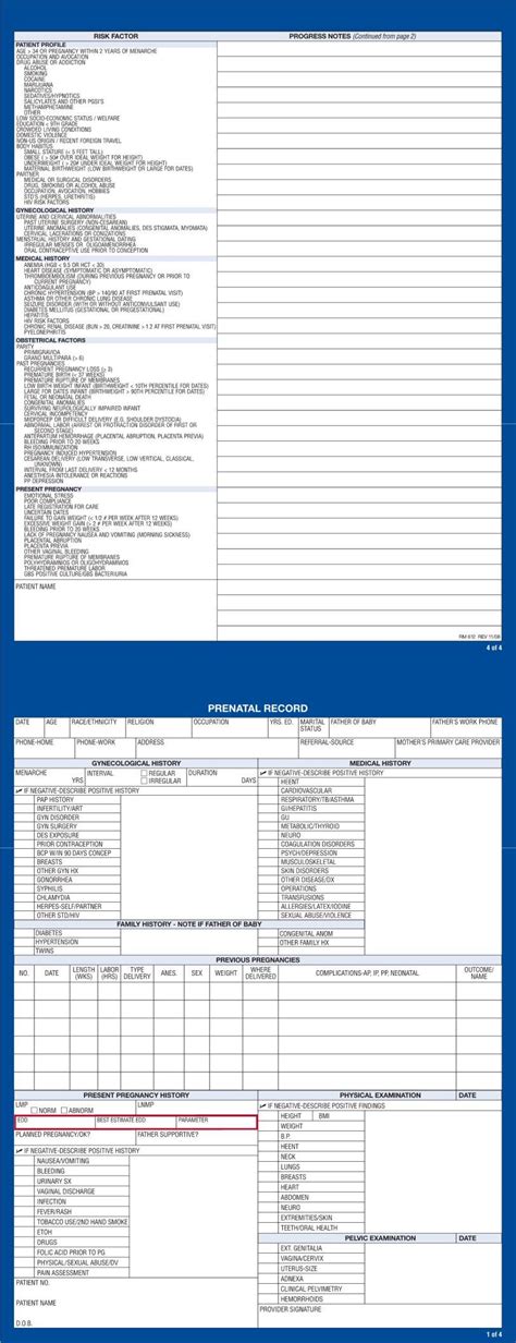 Prenatal Record Form Fill Out Printable Pdf Forms Online Hot Sex