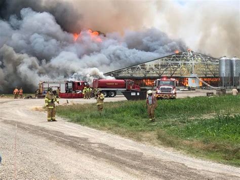 5000 Pigs Killed On Ohio Farm In Massive Barn Fire Wttv Cbs4indy