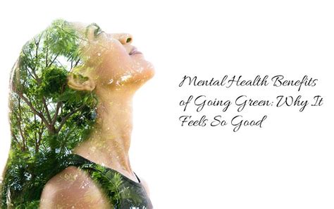 Mental Health Benefits of Going Green: Why It Feels So Good