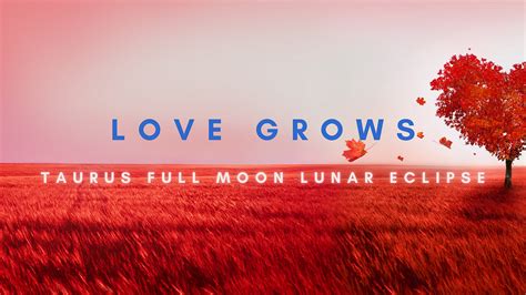 Love Grows Full Moon Lunar Eclipse In Taurus By Joshua Macguire Medium