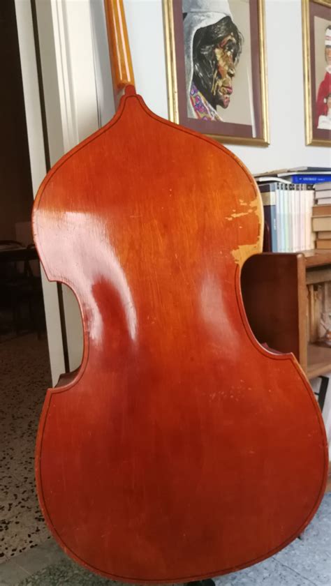 Contrabbasso 7606758 Su Mercatino Musicale In Violoncelli Contrabbassi