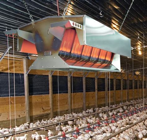 Poultry Farm Heating System Brooders And Top Suppliersvendors The