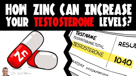 How Zinc Can Increase Your Testosterone Levels By Dr Sam Robbins Youtube