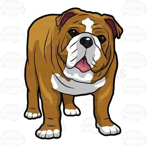 English Bulldog Clipart Free Download On Clipartmag