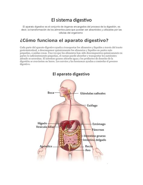 Calaméo sistemas