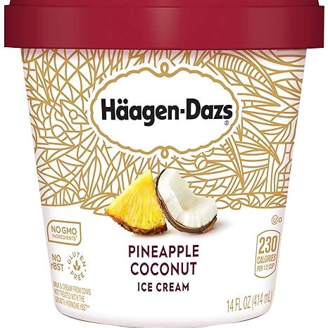 Amazon Haagen Dazs Pineapple Coconut Ice Cream 14 Oz Frozen