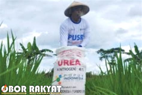 Petani Sekarang Tebus Pupuk Subsidi Pakai Aplikasi Ini Obor Rakyat